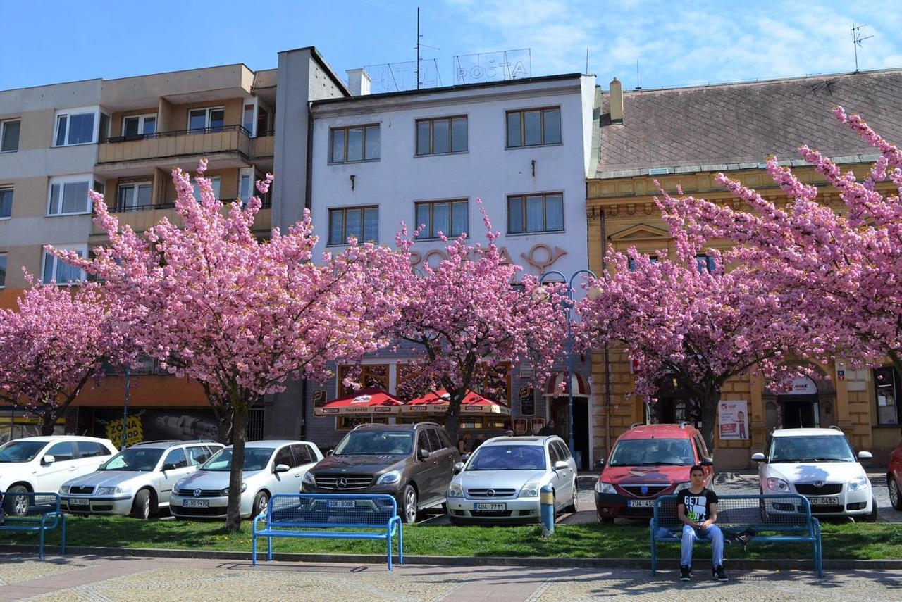Hotel Posta Decin Bagian luar foto